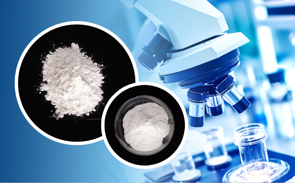 PP电子5金狮·(中国区)游戏官方网站